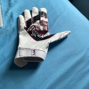Right side south carolina college football glove